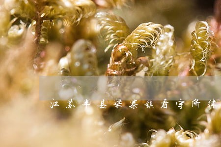 江苏丰县梁寨镇看守所律师会见 江苏丰县梁寨镇看守所律师会见