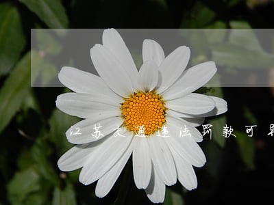 江苏交通违法罚款可异地缴纳