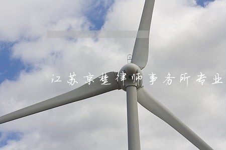 江苏京楚律师事务所专业律师 江苏京楚律师事务所专业律师
