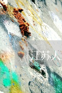 江苏人大表决通过新条例 江苏人大表决通过新条例