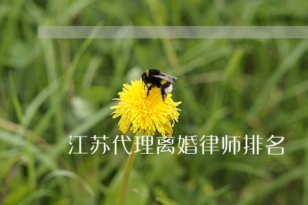 江苏代理离婚律师排名 江苏代理离婚律师排名