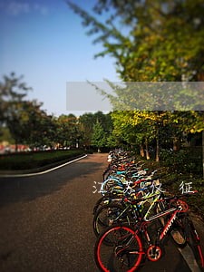 江苏仪征青山镇律师办理取保候审 江苏仪征青山镇律师办理取保候审