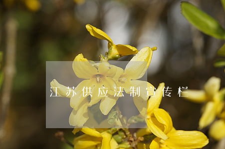江苏供应法制宣传栏 江苏供应法制宣传栏