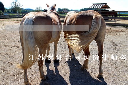 江苏保证合同纠纷律师咨询电话
