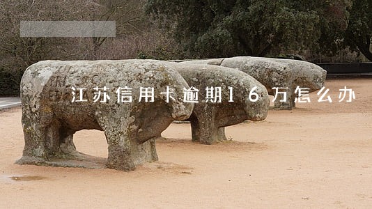 江苏信用卡逾期16万怎么办