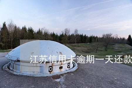 江苏信用卡逾期一天还款后果