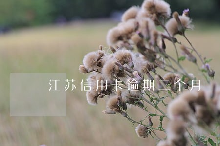 江苏信用卡逾期三个月 江苏信用卡逾期三个月