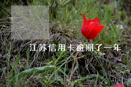 江苏信用卡逾期了一年 江苏信用卡逾期了一年