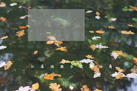 江苏信用卡逾期协商 江苏信用卡逾期协商