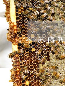 江苏债务分割律师多少钱 江苏债务分割律师多少钱