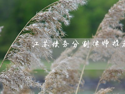 江苏债务分割律师推荐 江苏债务分割律师推荐