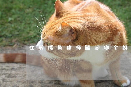 江苏债务律师顾问哪个好 江苏债务律师顾问哪个好