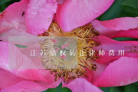 江苏债权转让律师费用 江苏债权转让律师费用