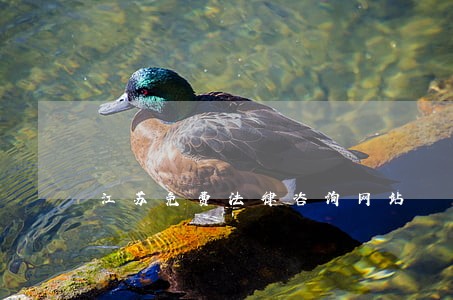 江苏免费法律咨询网站 江苏免费法律咨询网站