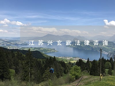 江苏兴玄武法律咨询 江苏兴玄武法律咨询