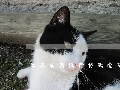 江苏农商银行贷款逾期 江苏农商银行贷款逾期