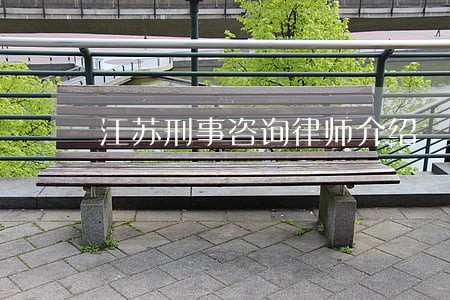 江苏刑事咨询律师介绍 江苏刑事咨询律师介绍