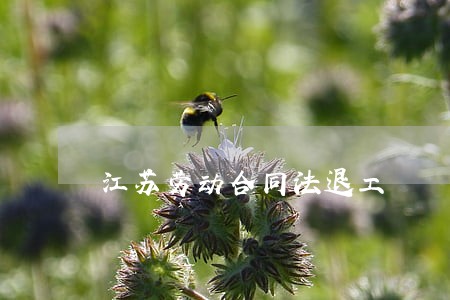 江苏劳动合同法退工
