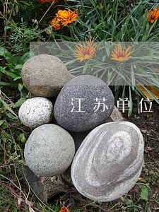 江苏单位法律顾问价格 江苏单位法律顾问价格