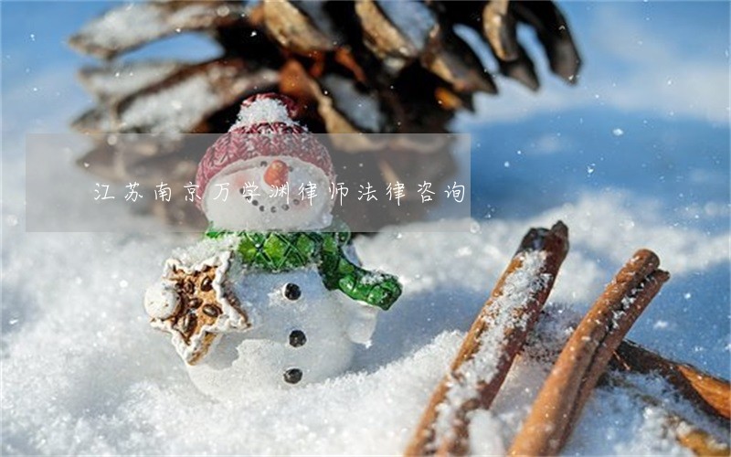 江苏南京万学渊律师法律咨询 江苏南京万学渊律师法律咨询