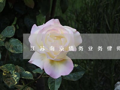 江苏南京债务业务律师风险代理 江苏南京债务业务律师风险代理