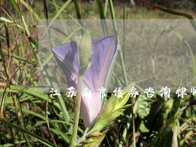 江苏南京债务咨询律师法律咨询