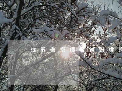 江苏南京债务纠纷律师免费咨询 江苏南京债务纠纷律师免费咨询