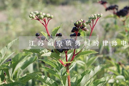 江苏南京债务纠纷律师电话咨询 江苏南京债务纠纷律师电话咨询