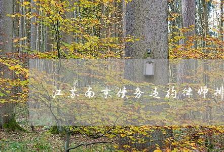 江苏南京债务违约律师排行 江苏南京债务违约律师排行