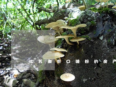 江苏南京口碑好的房产律师 江苏南京口碑好的房产律师