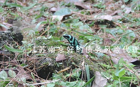 江苏南京好的债务风险代理律师 江苏南京好的债务风险代理律师