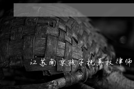 江苏南京孩子抚养权律师预约电话 江苏南京孩子抚养权律师预约电话