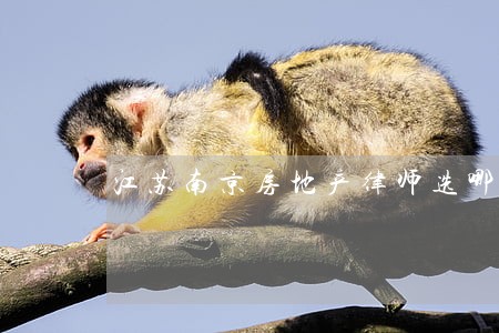 江苏南京房地产律师选哪个律师
