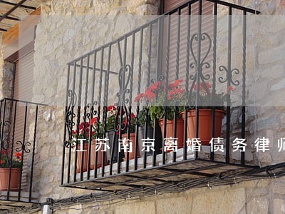 江苏南京离婚债务律师多少钱