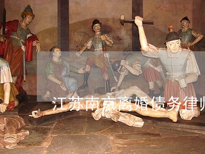 江苏南京离婚债务律师委托咨询 江苏南京离婚债务律师委托咨询