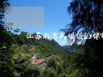 江苏南京离婚诉讼律师收费标准 江苏南京离婚诉讼律师收费标准
