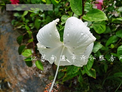 江苏南通市诉讼服务网 江苏南通市诉讼服务网