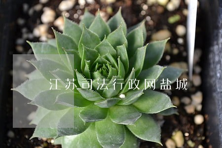 江苏司法行政网盐城 江苏司法行政网盐城