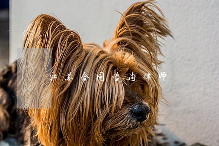 江苏合同咨询律师 江苏合同咨询律师