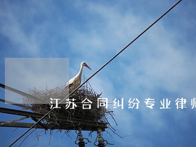 江苏合同纠纷专业律师 江苏合同纠纷专业律师