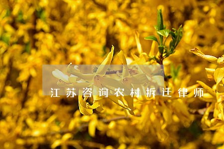 江苏咨询农村拆迁律师 江苏咨询农村拆迁律师