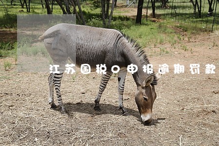 江苏国税0申报逾期罚款 江苏国税0申报逾期罚款