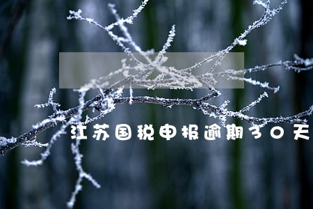 江苏国税申报逾期30天未申报