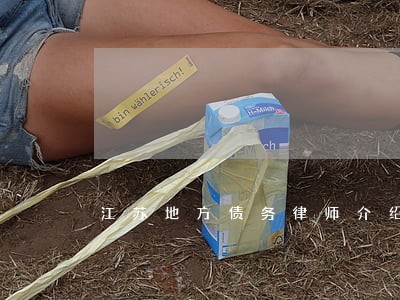 江苏地方债务律师介绍 江苏地方债务律师介绍