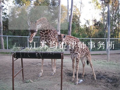 江苏均锐律师事务所 江苏均锐律师事务所