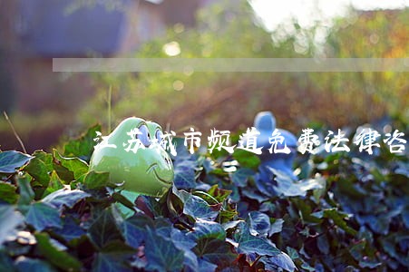 江苏城市频道免费法律咨询 江苏城市频道免费法律咨询