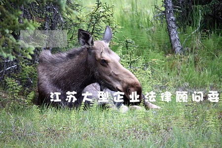 江苏大型企业法律顾问委托流程 江苏大型企业法律顾问委托流程