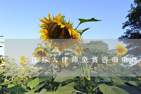 江苏大律师免费咨询电话 江苏大律师免费咨询电话