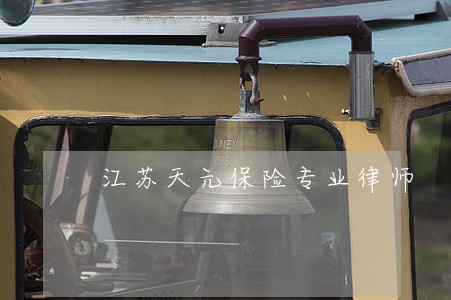 江苏天元保险专业律师 江苏天元保险专业律师