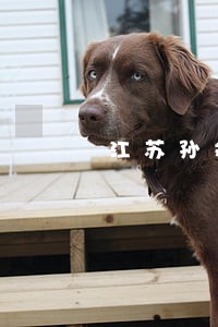 江苏孙斌信用卡逾期 江苏孙斌信用卡逾期